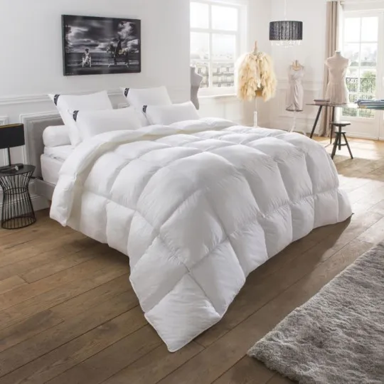 Couette chaude Drouault Galaxie oie 280g/m² - 4 tailles