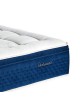 Matelas Epeda Dédicace Perséides - 19 tailles 6 coloris