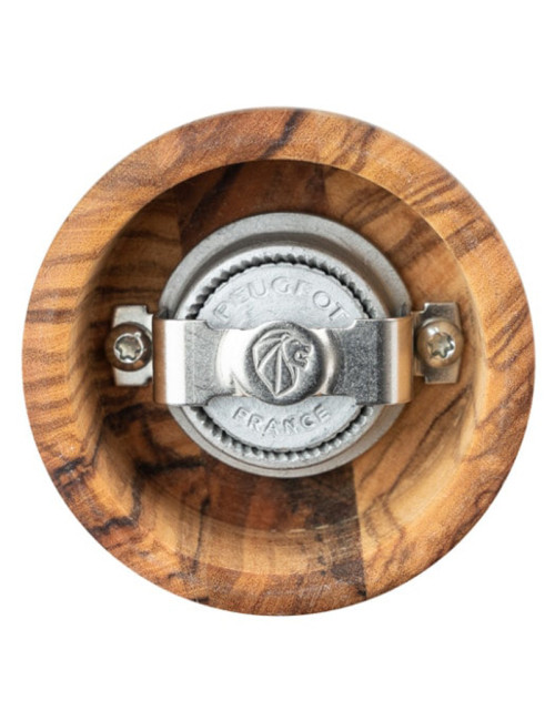 2 Moulins Fidji Peugeot Saveurs à poivre et à sel