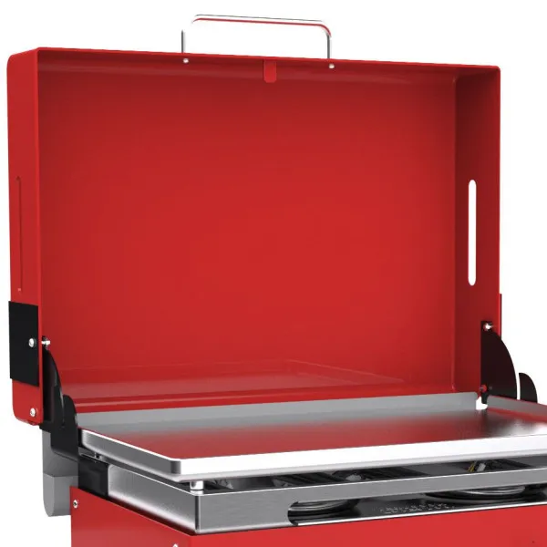 Plancha Verycook gaz 2 feux Creative Veryspicy