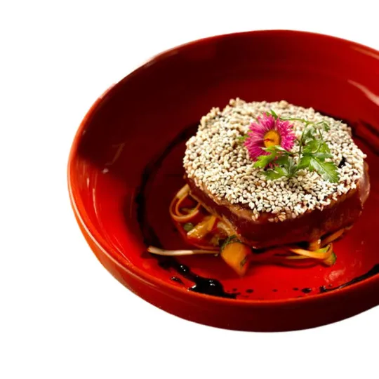 2 écuelles saladiers Terafeu en terre - 9 coloris 2 tailles