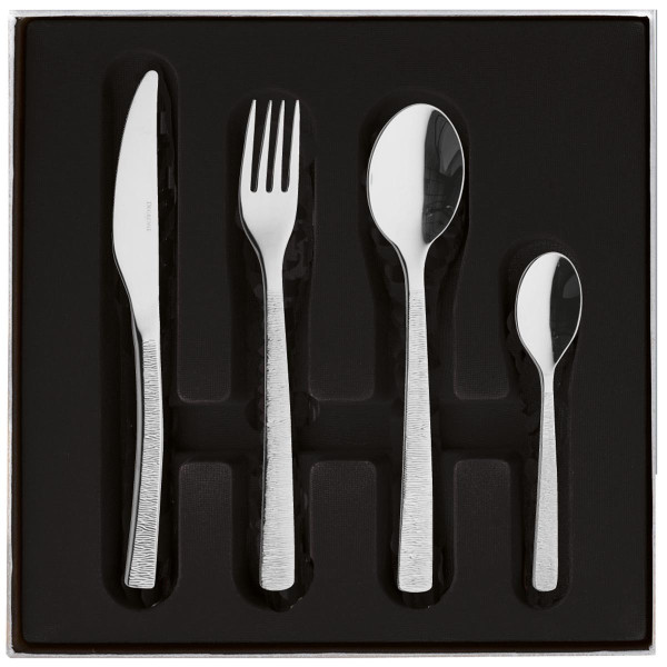 Ecrin 50 couverts Astrée Ciselée DEGRENNE