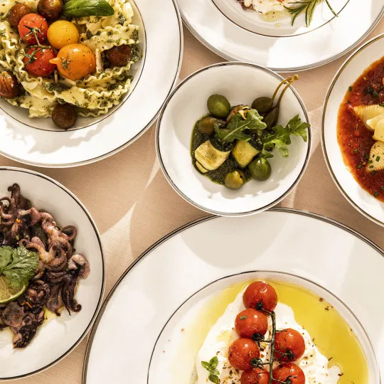 6 assiettes Galon platine or Degrenne - 4 tailles 2 coloris