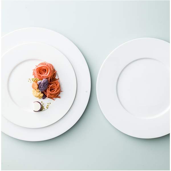 6 assiettes Degrenne collection L Blanc 7 modèles