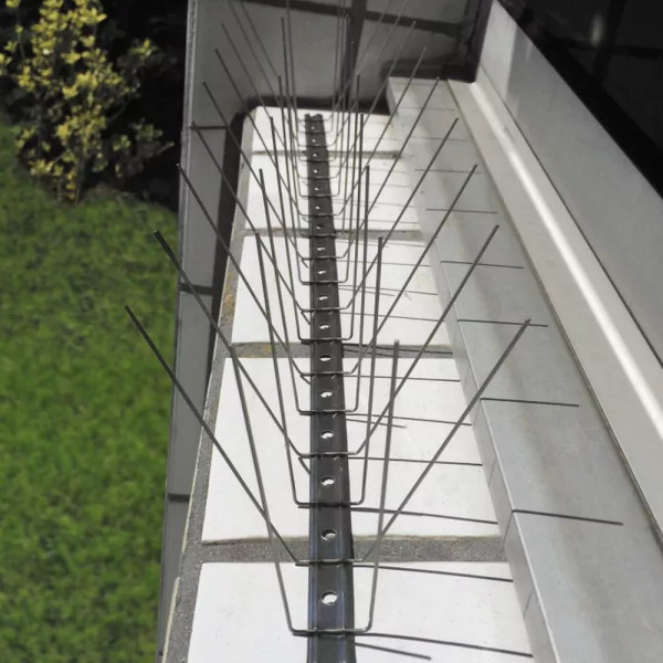 Oisipic Pics anti volatiles 150 - 5 mètres linéaires