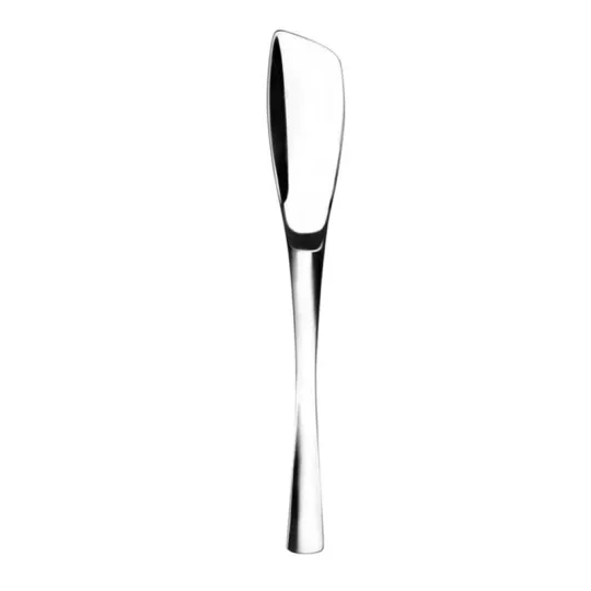 6 spatules gourmet à poisson XY Miroir DEGRENNE