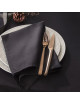 Coffret 24 couverts Degrenne Guest Cuivre