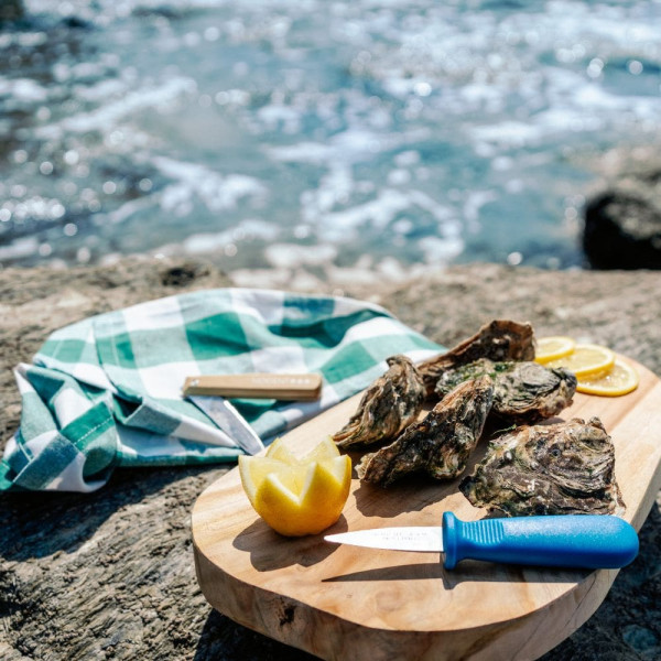 Couteau à huîtres NOGENT Classic Polypro bleu