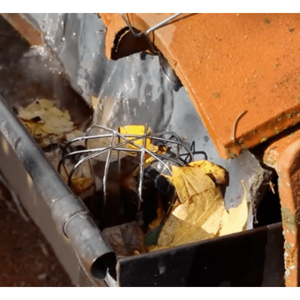 Crapaudine (x3) OISIPIC pour gouttière anti-intrusion