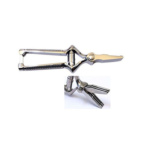 Masticateur chrome Roger Orfèvre