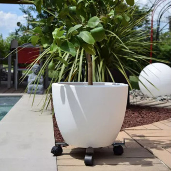 Roule plante LOUIS MOULIN Extensible à 4 roulettes - 3 coloris