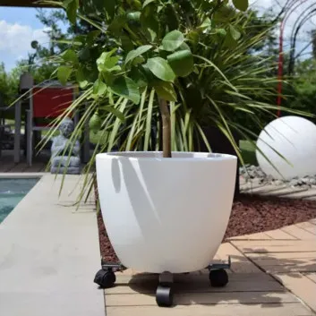 Roule plante LOUIS MOULIN Extensible à 4 roulettes - 3 coloris