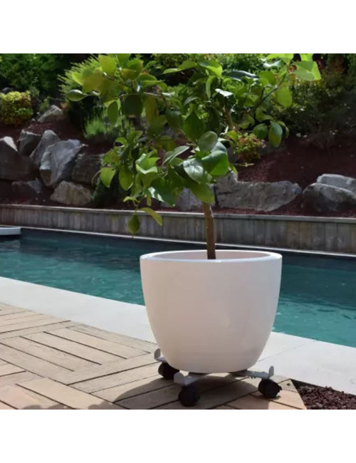 Roule plante LOUIS MOULIN Extensible à 4 roulettes - 3 coloris