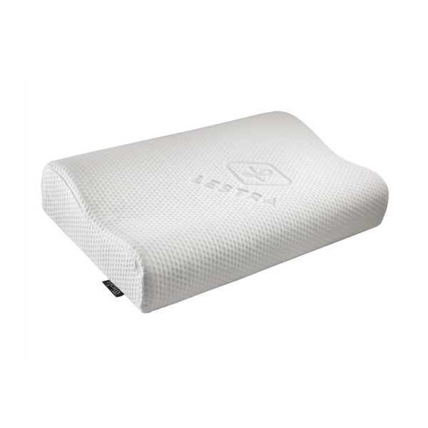 Oreiller LESTRA Fjord mémoire de forme Ergonomique 40x60cm