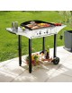 Plancha avec desserte Roller Grill 600 Gaz PL600G CHPS600