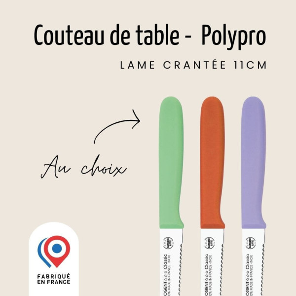 Couteau de table NOGENT 3 ETOILES double crantage 11cm Polypro - 3 coloris