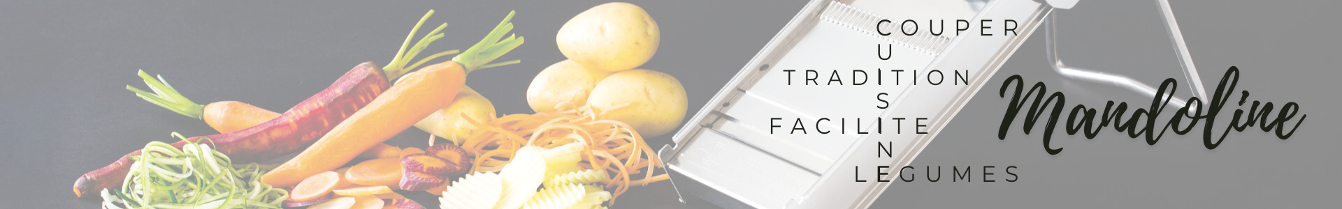 Mandoline pour professionnels (CHR...) - Made in France | Comptoir des industries