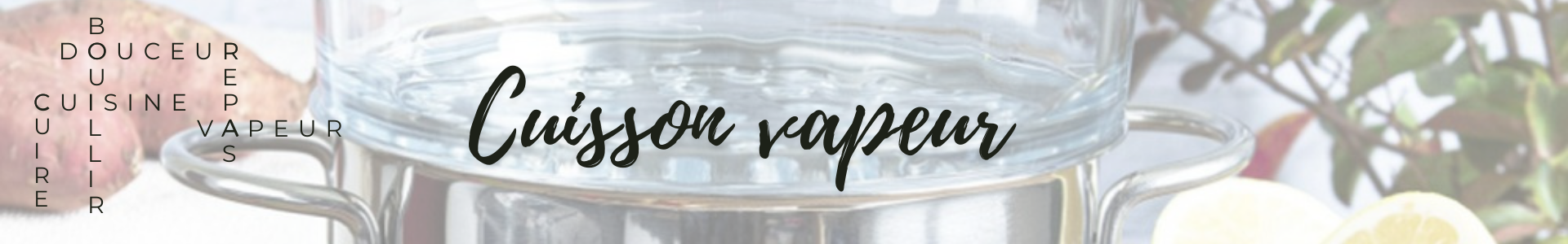 Cuisson vapeur pour professionnels (CHR...) - Made in France | Comptoir des industries