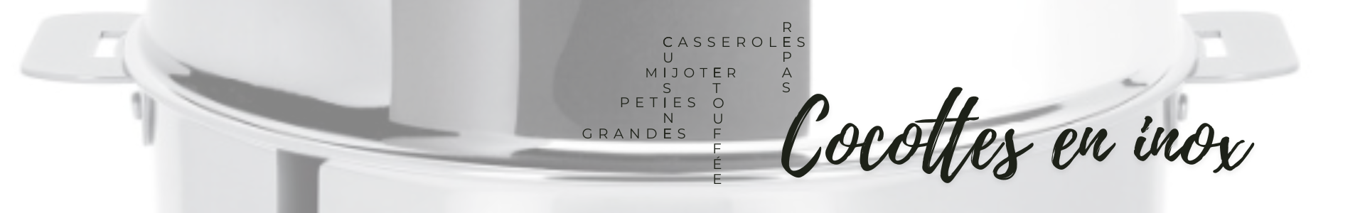 Cocotte inox pour professionnels (CHR...) - Made in France | Comptoir des industries