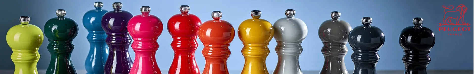 PEUGEOT SAVEURS